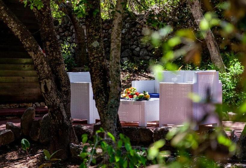 בקתה דלוקס, Casa Saltara