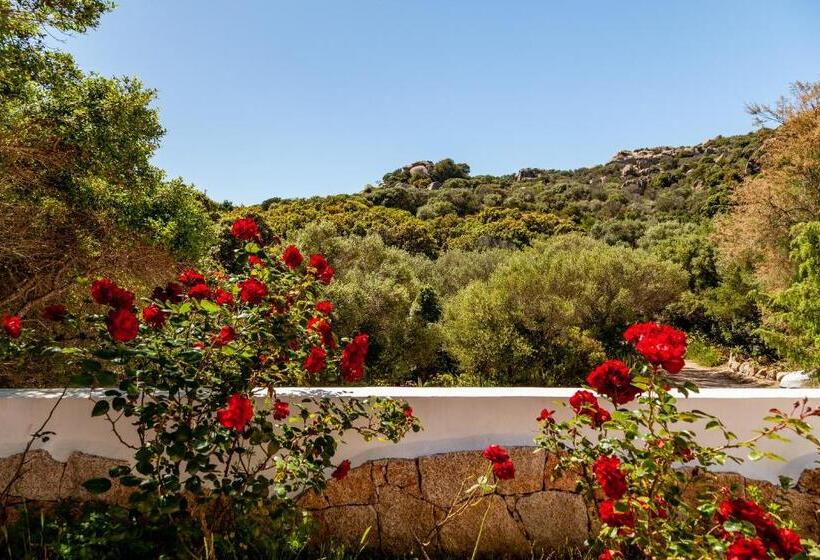 בקתה דלוקס, Casa Saltara