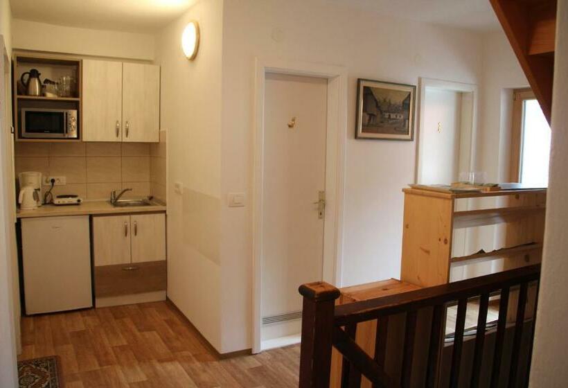 اتاق استاندارد با سرویس بهداشتی مشترک, Apartments & Hostel Bohinj