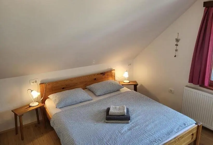 آپارتمان 1 خوابه با چشمانداز, Apartments & Hostel Bohinj