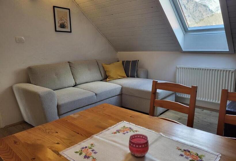 اتاق خانوادگی با سرویس بهداشتی مشترک, Apartments & Hostel Bohinj