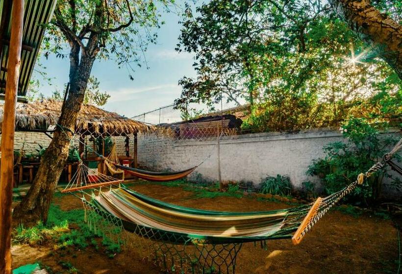 חדר סטנדרט חדר אמבטיה משותף, Colonial House Inn