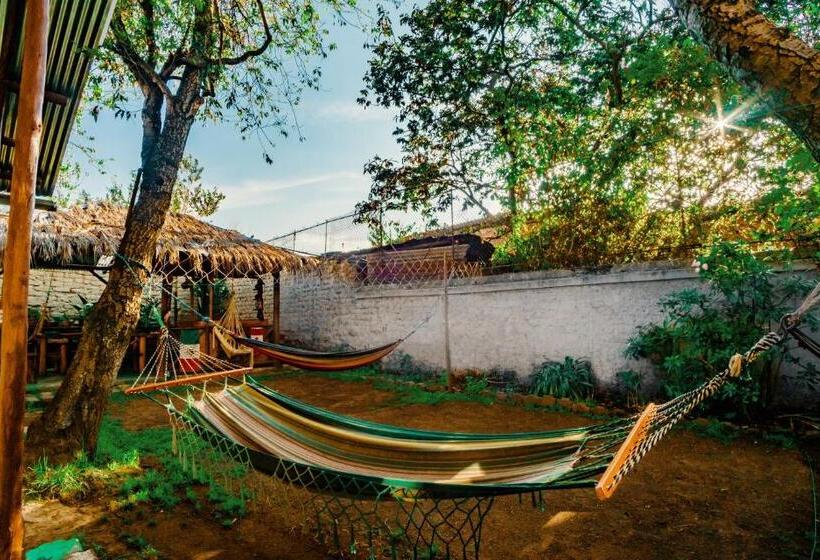 חדר סטנדרט עם מרפסת, Colonial House Inn