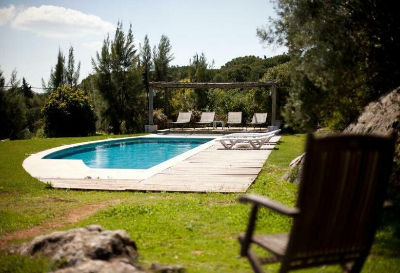 اتاق استاندارد, Ha Mar Ao Luar