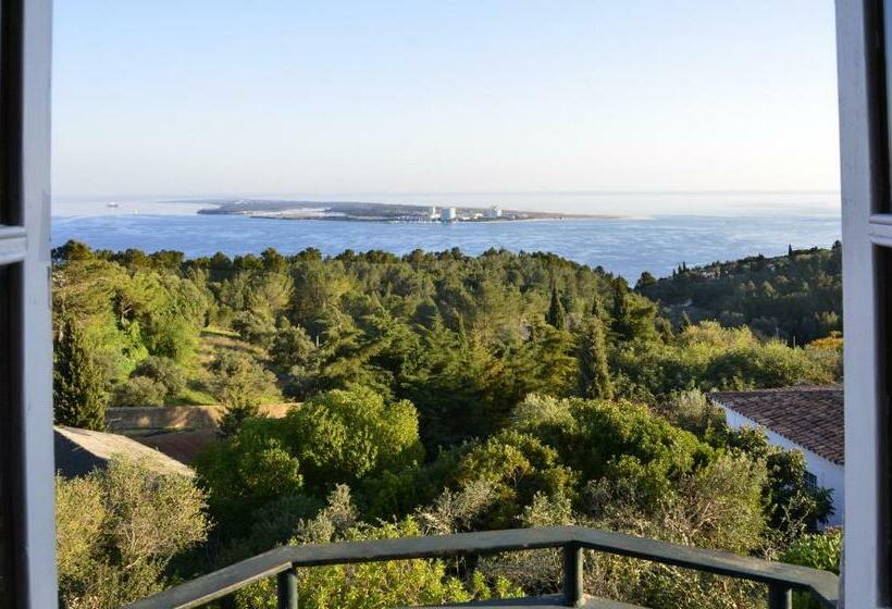 اتاق استاندارد, Ha Mar Ao Luar