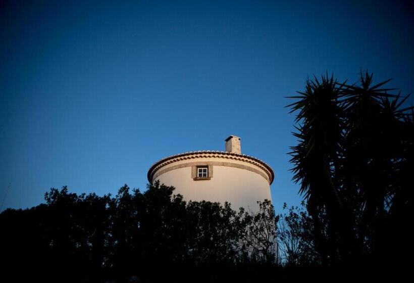 اتاق استاندارد, Ha Mar Ao Luar