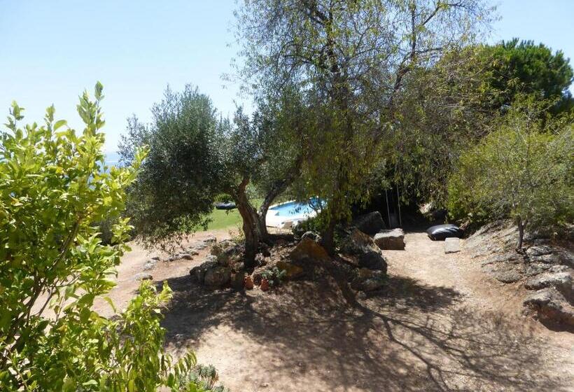 اتاق استاندارد, Ha Mar Ao Luar