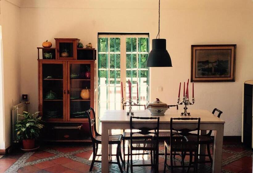 ویلای 2 خوابه, Ha Mar Ao Luar