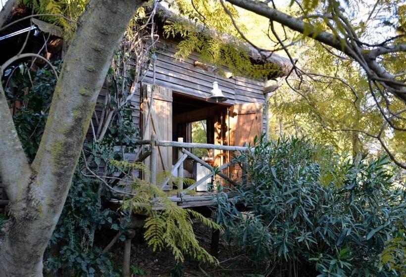 بانگلوی استاندارد با چشمانداز دریا, Ha Mar Ao Luar