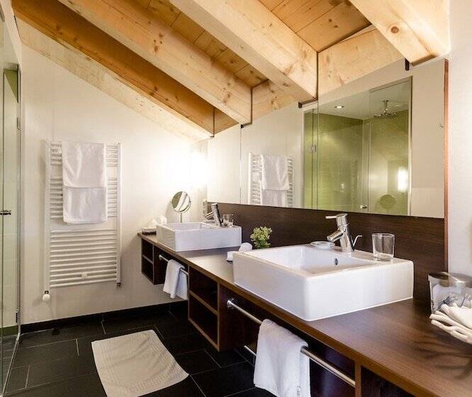 Номер Стандарт, Stäfeli