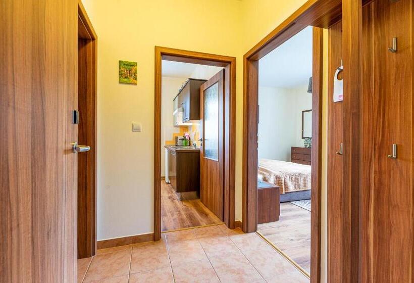 شقة سوبريور غرفة واحدة, Villa Walir   Spa Hotel Garni Superior