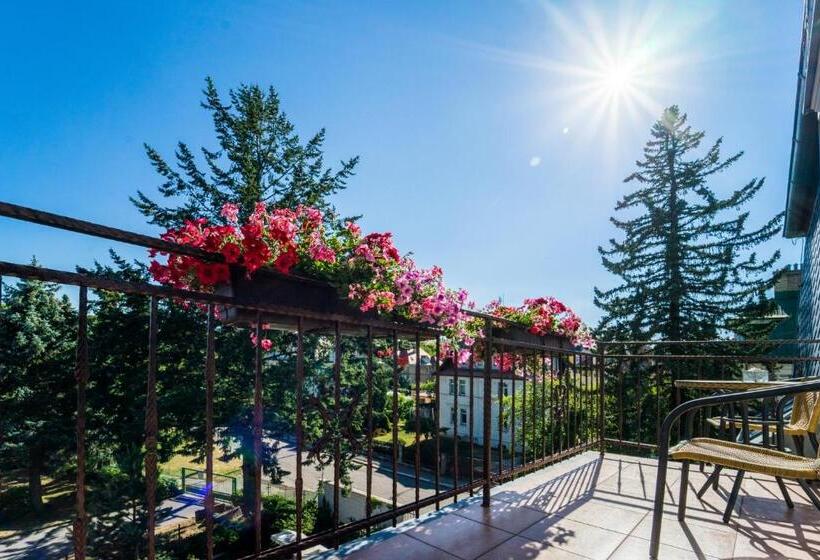 شقة ديلوكس غرفة واحدة, Villa Walir   Spa Hotel Garni Superior