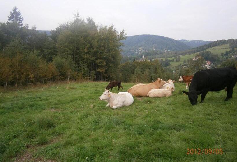 스탠다드 싱글 룸 공동욕실, Pension Panorama