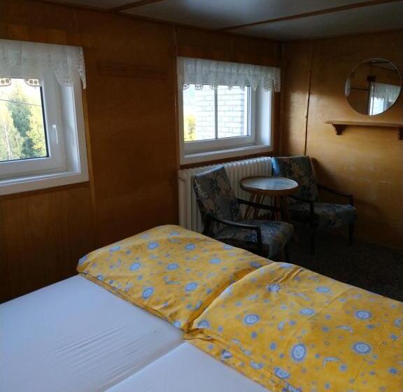 스탠다드 룸 공동 욕실, Pension Panorama