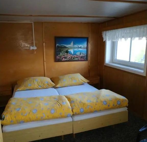 Standard-huone Jaettu Kylpyhuone, Pension Panorama