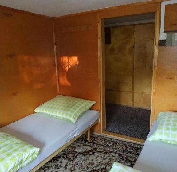 스탠다드 룸 공동 욕실, Pension Panorama