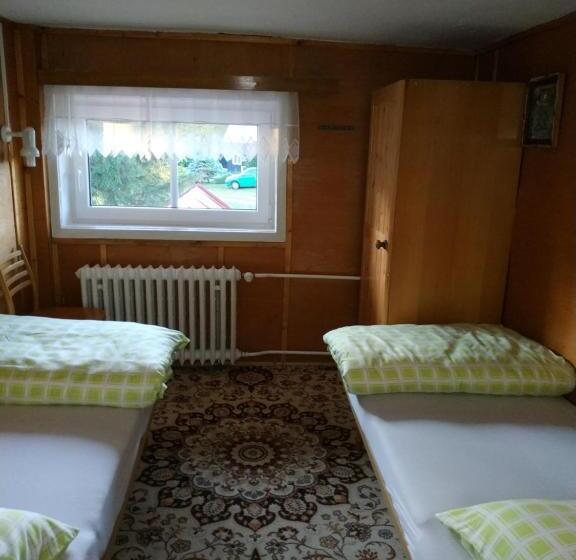 스탠다드 룸 공동 욕실, Pension Panorama