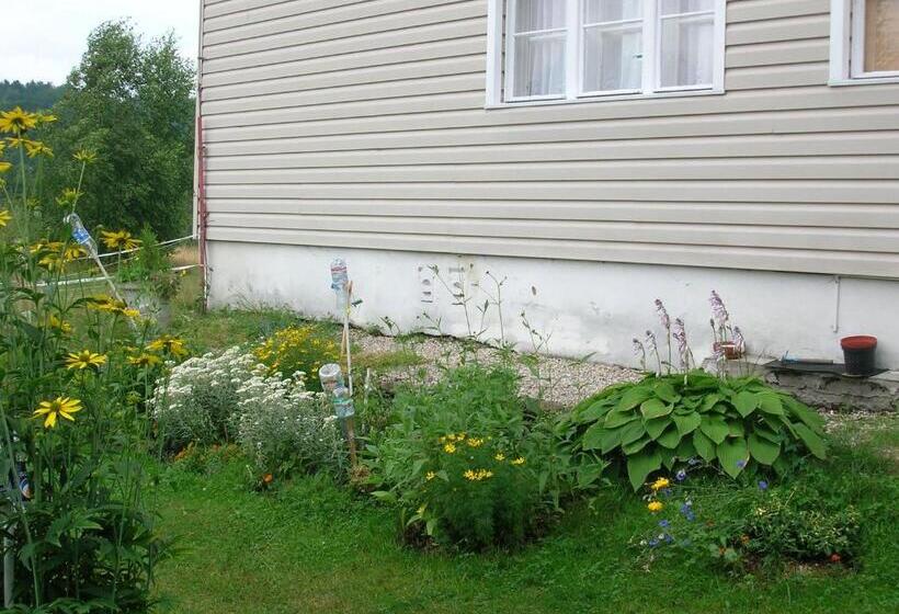 스탠다드 싱글 룸 공동욕실, Pension Panorama