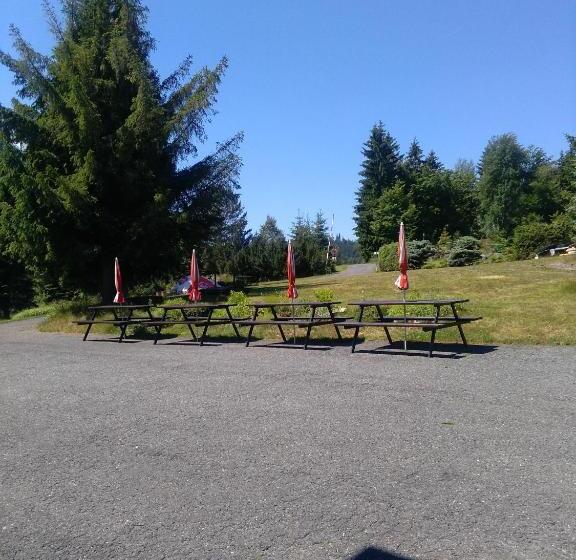 스탠다드 싱글 룸 공동욕실, Pension Panorama