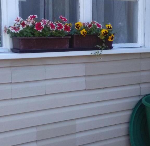 스탠다드 싱글 룸 공동욕실, Pension Panorama