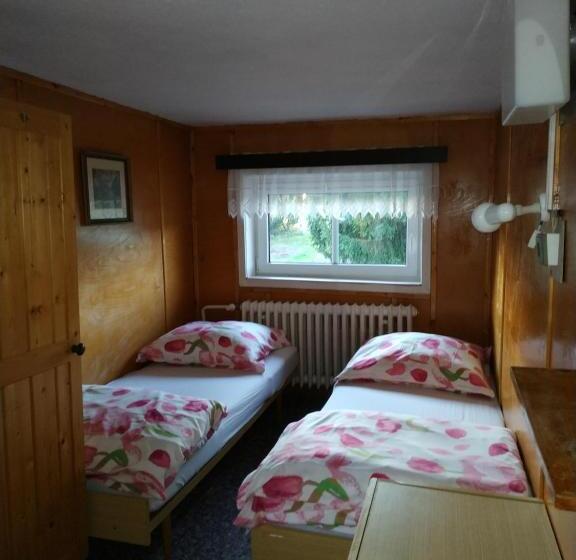 스탠다드 룸 공동 욕실, Pension Panorama