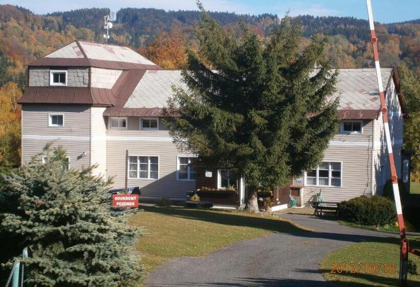 스탠다드 룸 공동 욕실, Pension Panorama