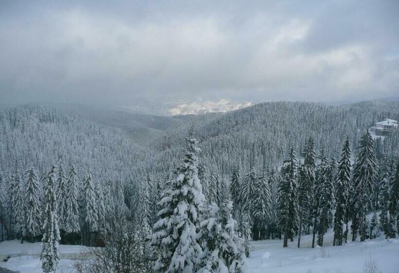 Студия Стандарт, Aparthotel Pine Hills Pamporovo