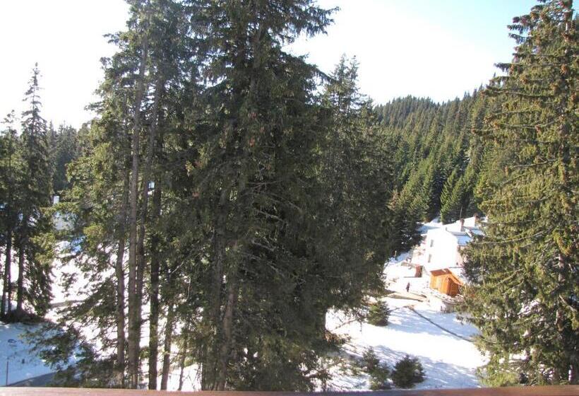 Апартаменты 1 Спальня с Балконом, Aparthotel Pine Hills Pamporovo