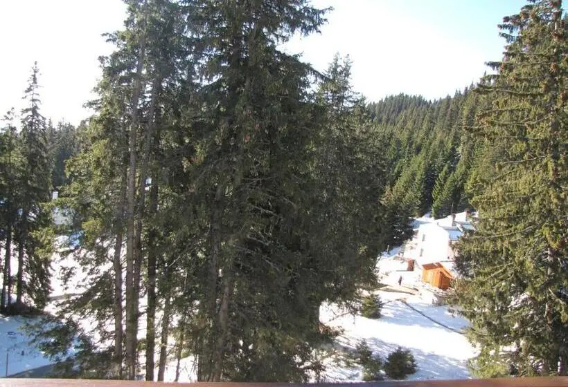 آپارتمان 1 خوابه با بالکن, Aparthotel Pine Hills Pamporovo