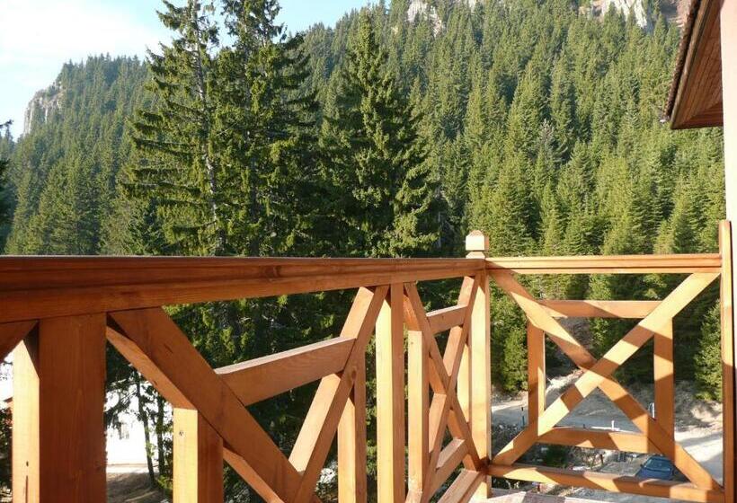 Апартаменты 1 Спальня с Балконом, Aparthotel Pine Hills Pamporovo