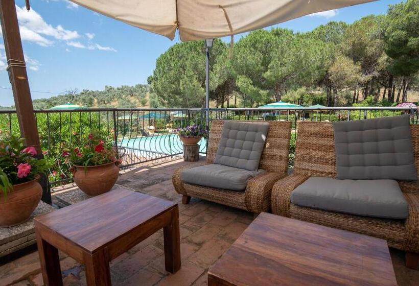 Апартаменты 1 Спальня с Террасой, Dolce Vita