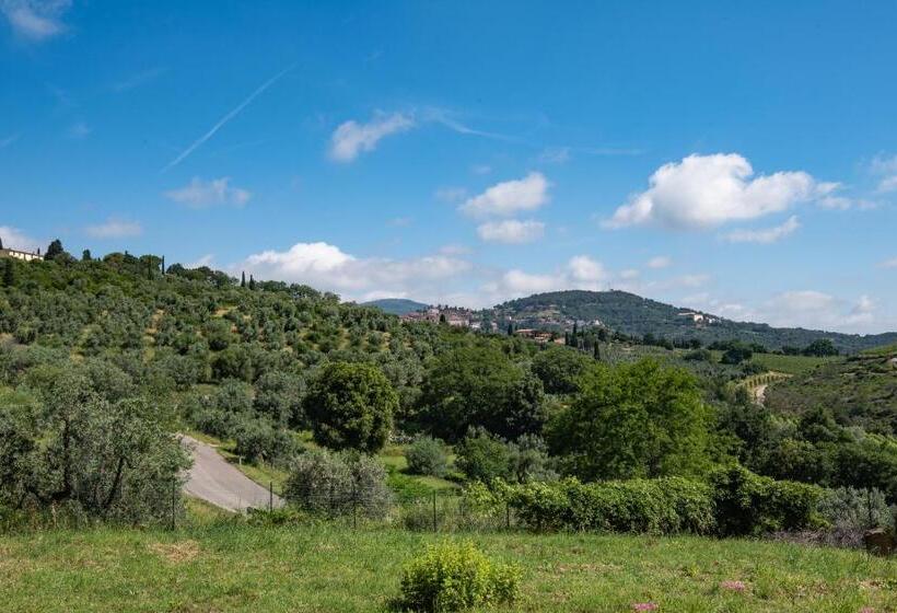 Апартаменты 1 Спальня с Террасой, Dolce Vita