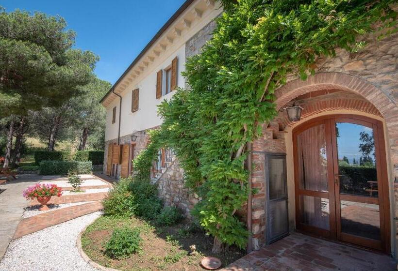 Студия Стандарт, Dolce Vita