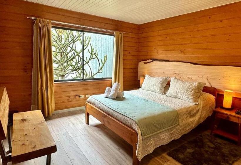 חדר סופריור, El Coihue