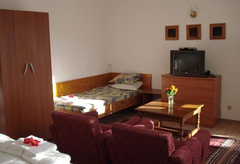 Номер Стандарт Трехместный, Villa Exotica