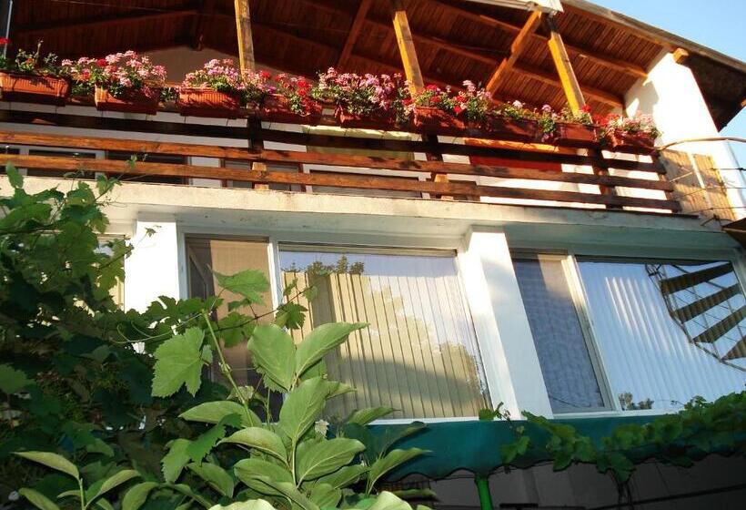 Апартаменты 3 Спальни, Villa Exotica