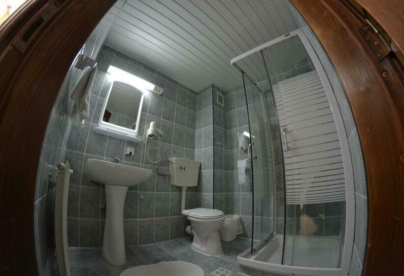 스탠다드 룸, Pension Restaurant Speranta