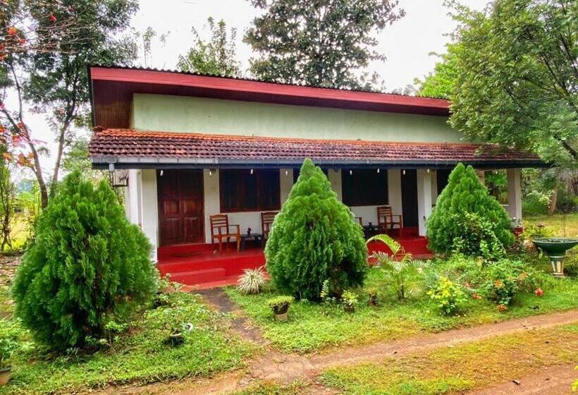 Номер Стандарт, Globetrotter Tourist Inn