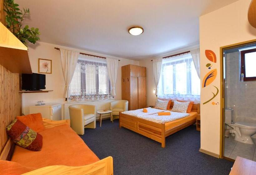 غرفة قياسية, Penzion Fortuna