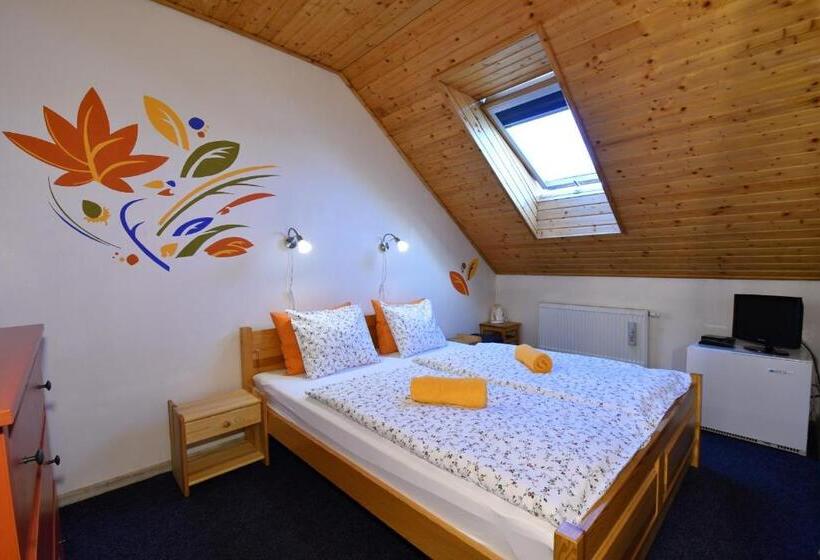 غرفة قياسية, Penzion Fortuna