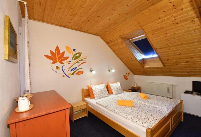 غرفة قياسية, Penzion Fortuna