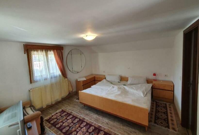 Номер Стандарт, Pensiunea Ilea