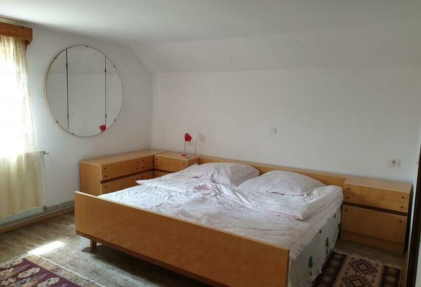 스탠다드 룸, Pensiunea Ilea