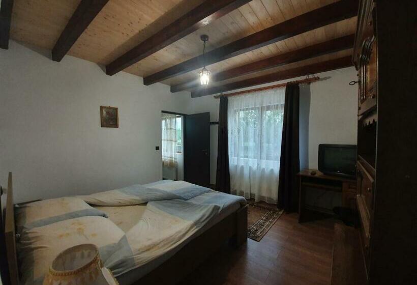 Номер Стандарт Вид на Сад, Pensiunea Ilea