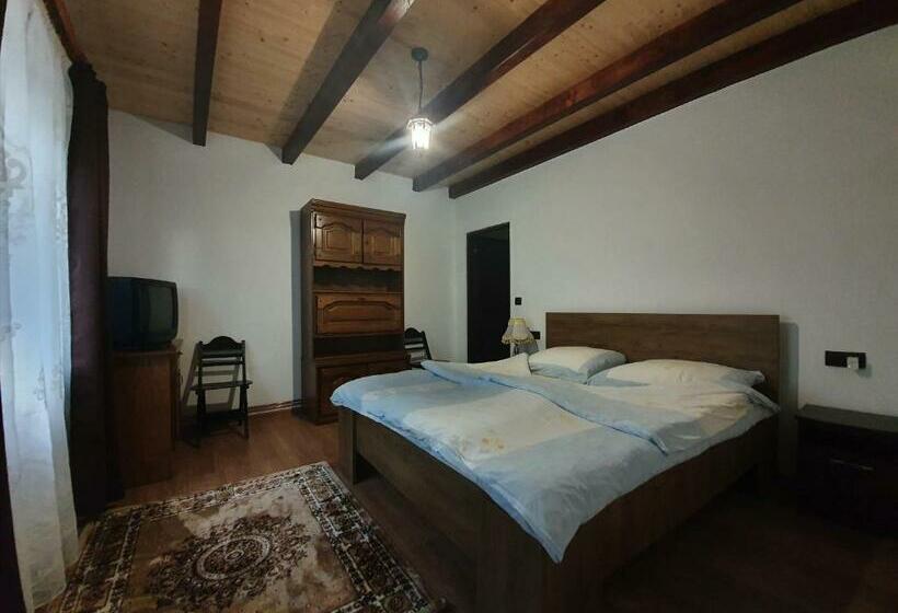 스탠다드 룸 가든 전망, Pensiunea Ilea