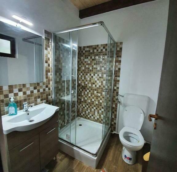 스탠다드 룸, Pensiunea Ilea