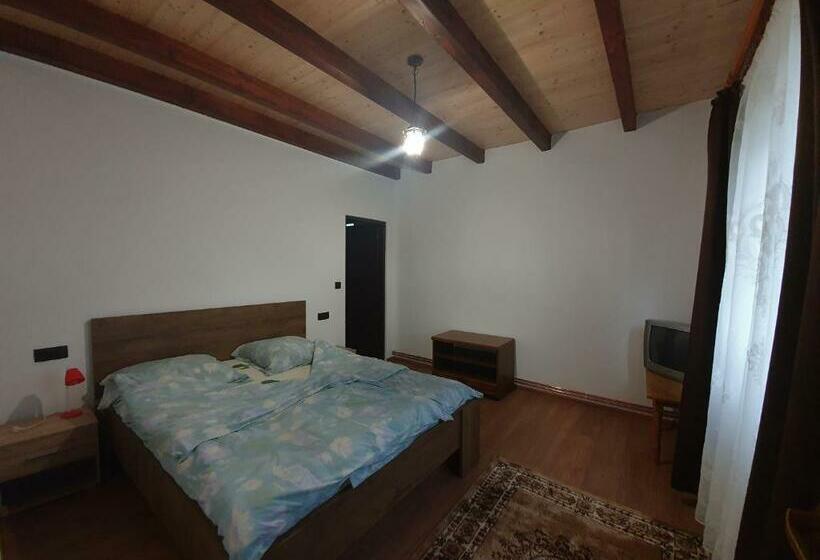 스탠다드 룸, Pensiunea Ilea