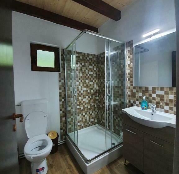 Номер Стандарт, Pensiunea Ilea