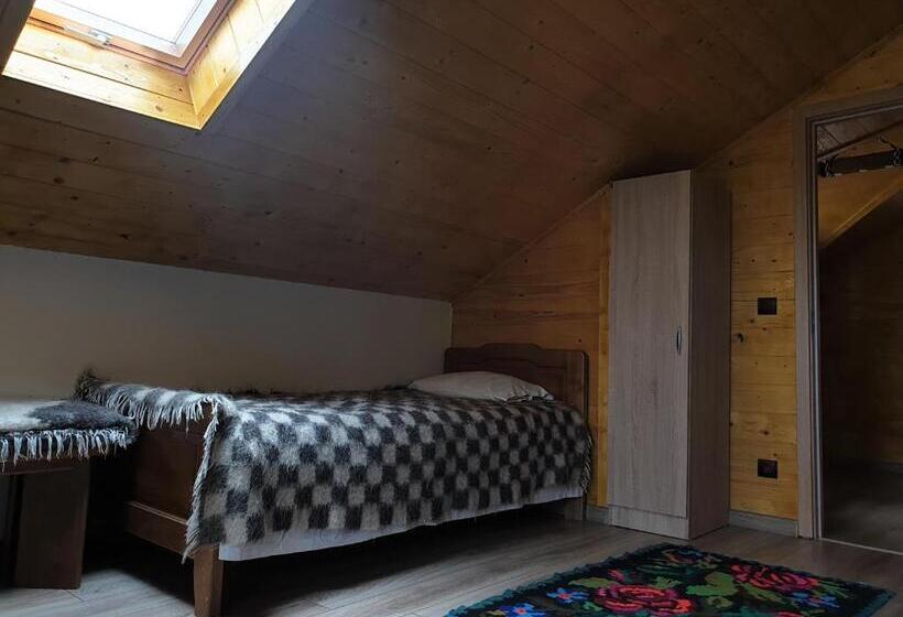 Трехместный Номер Стандарт Вид на Сад, Pensiunea Ilea