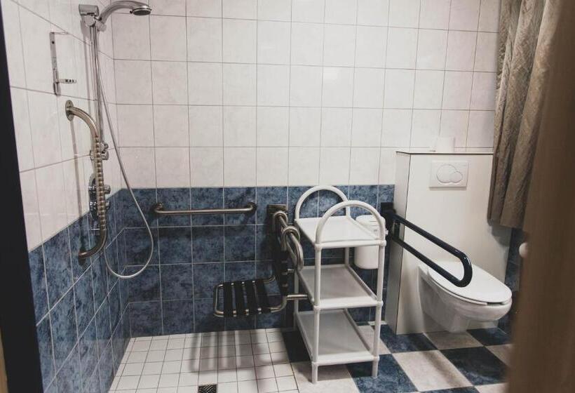 장애인을 위한 스탠다드 룸, Floréal